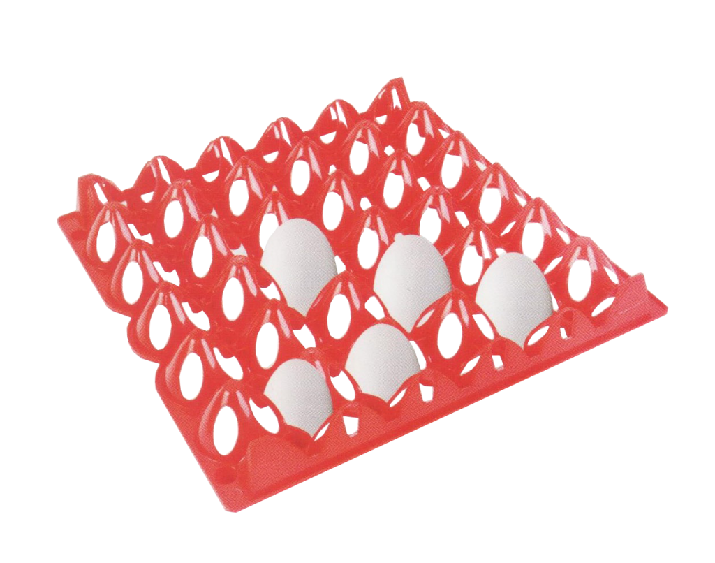 Plastic and PVC Egg Trays Automation master